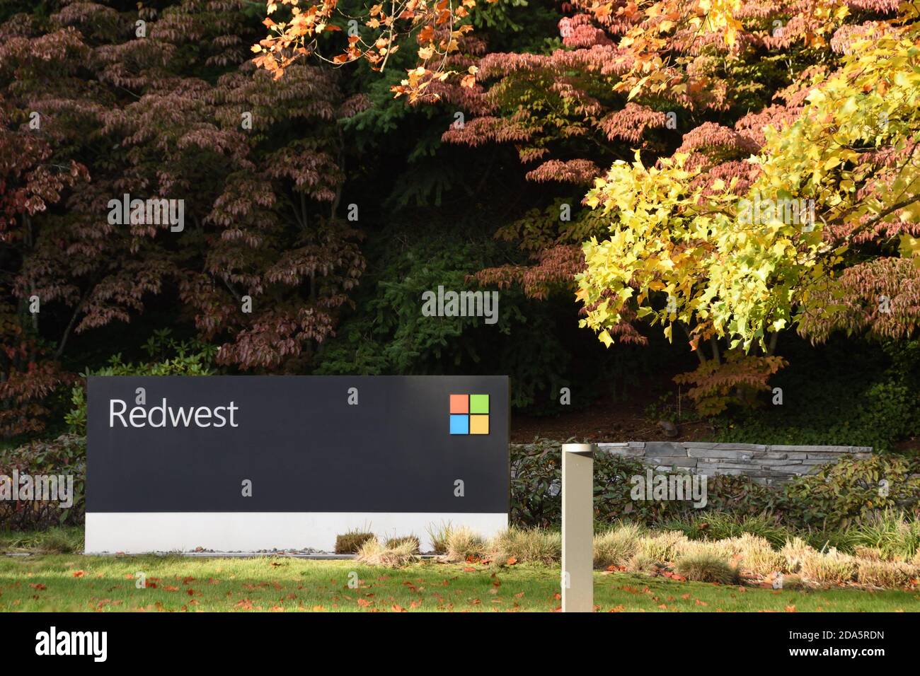 Panneau Microsoft à l'entrée du campus du siège de Redwest à Redmond, Washington, États-Unis. Banque D'Images