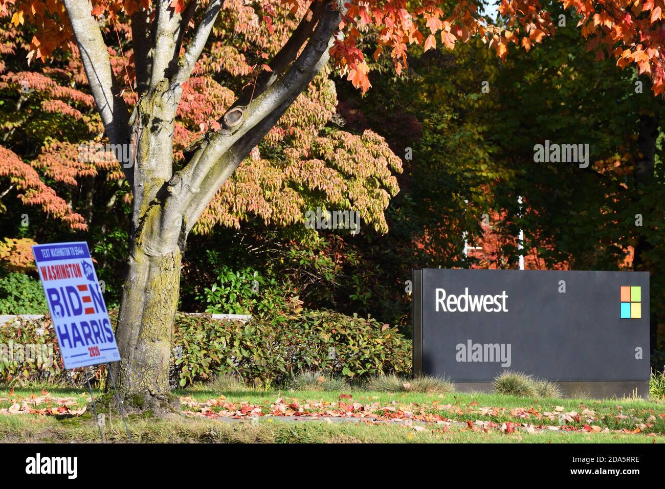 Panneau Microsoft à l'entrée du campus du siège de Redwest à Redmond, Washington, États-Unis. Biden Harris Démocrates signe politique au premier plan. Banque D'Images