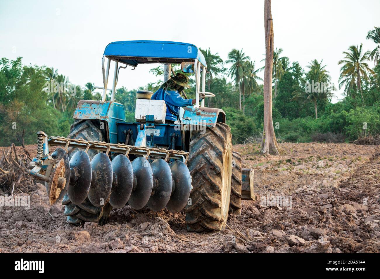 Les agriculteurs conduisent des machines agricoles sur la parcelle de terrain. Banque D'Images