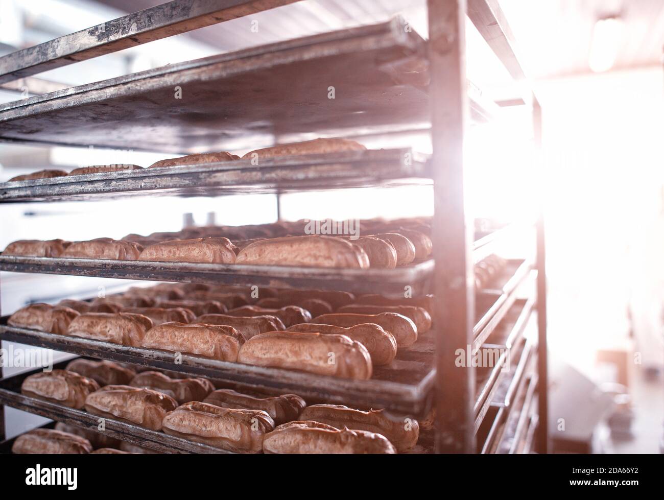 De nombreux gâteaux eclair crème anglaise crème au beurre et de lait concentré se trouvent sur des supports dans l'industrie de la confiserie. Faire des desserts et des confiseries à une zone industrielle Banque D'Images