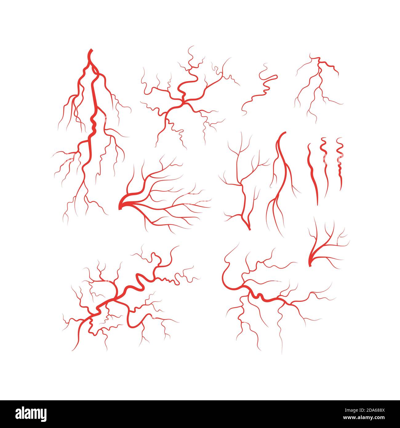 Vecteur de l'ensemble de vaisseaux sanguins rouges des veines humaines Illustration de Vecteur