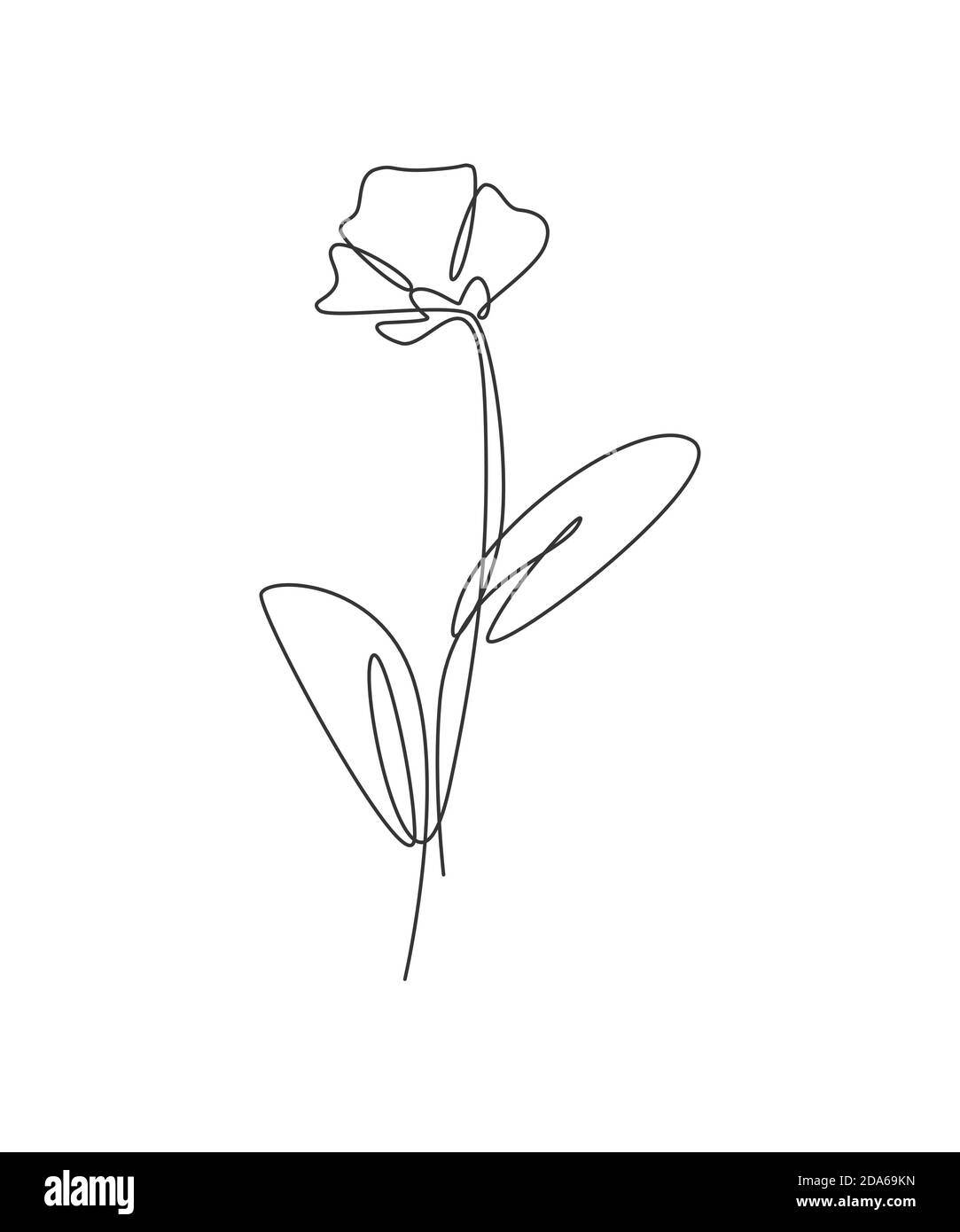 Une ligne continue dessinant une belle fleur de pavot abstraite. Concept naturel de beauté fraîche minimale. Décoration murale maison, affiche, sac fourre-tout, imprimé tissu Illustration de Vecteur