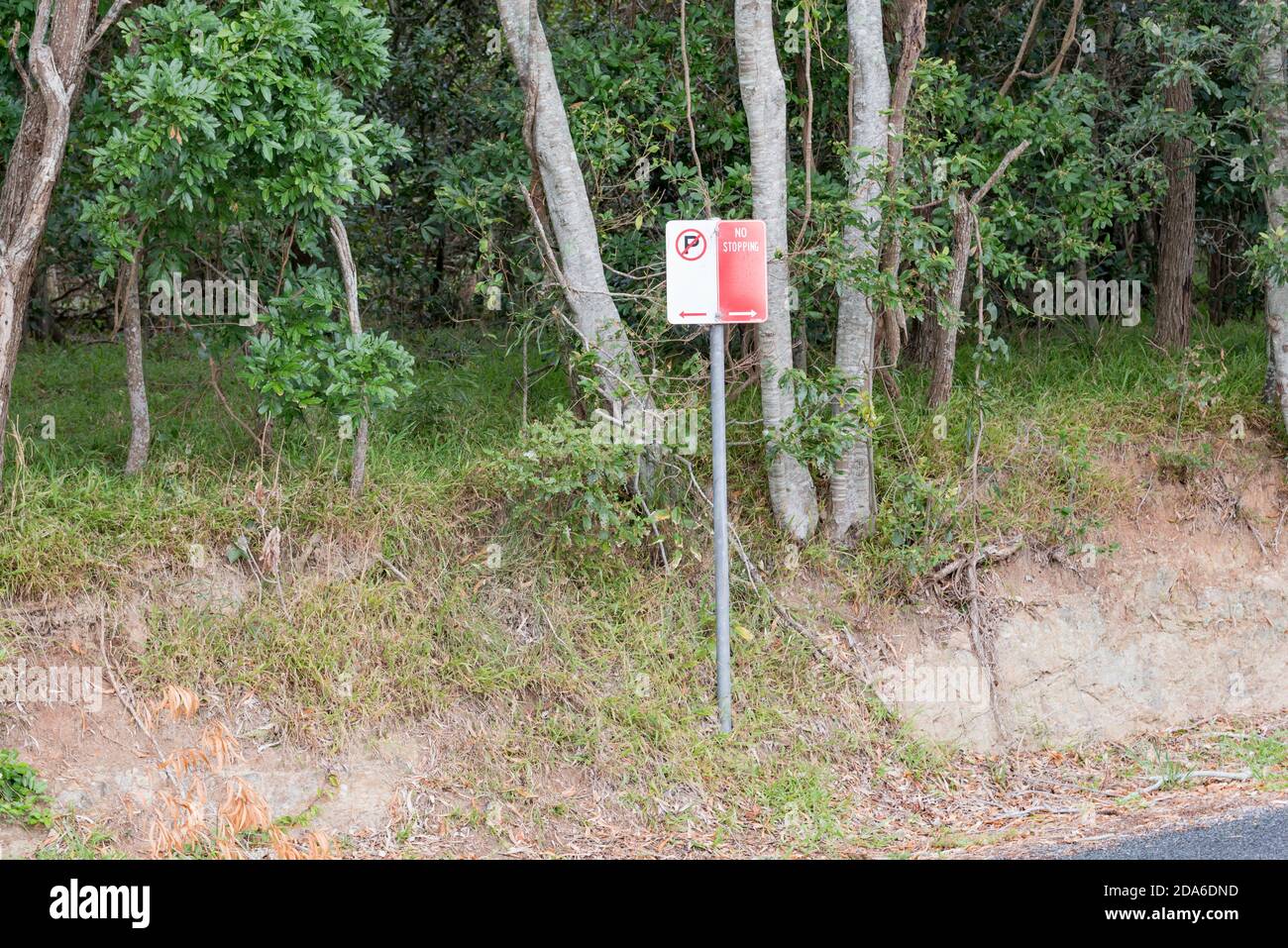 Pas de parking, pas de panneau sur le bord de la forêt tropicale littorale sur la péninsule de Black Head à Hallidays point NSW, Australie Banque D'Images