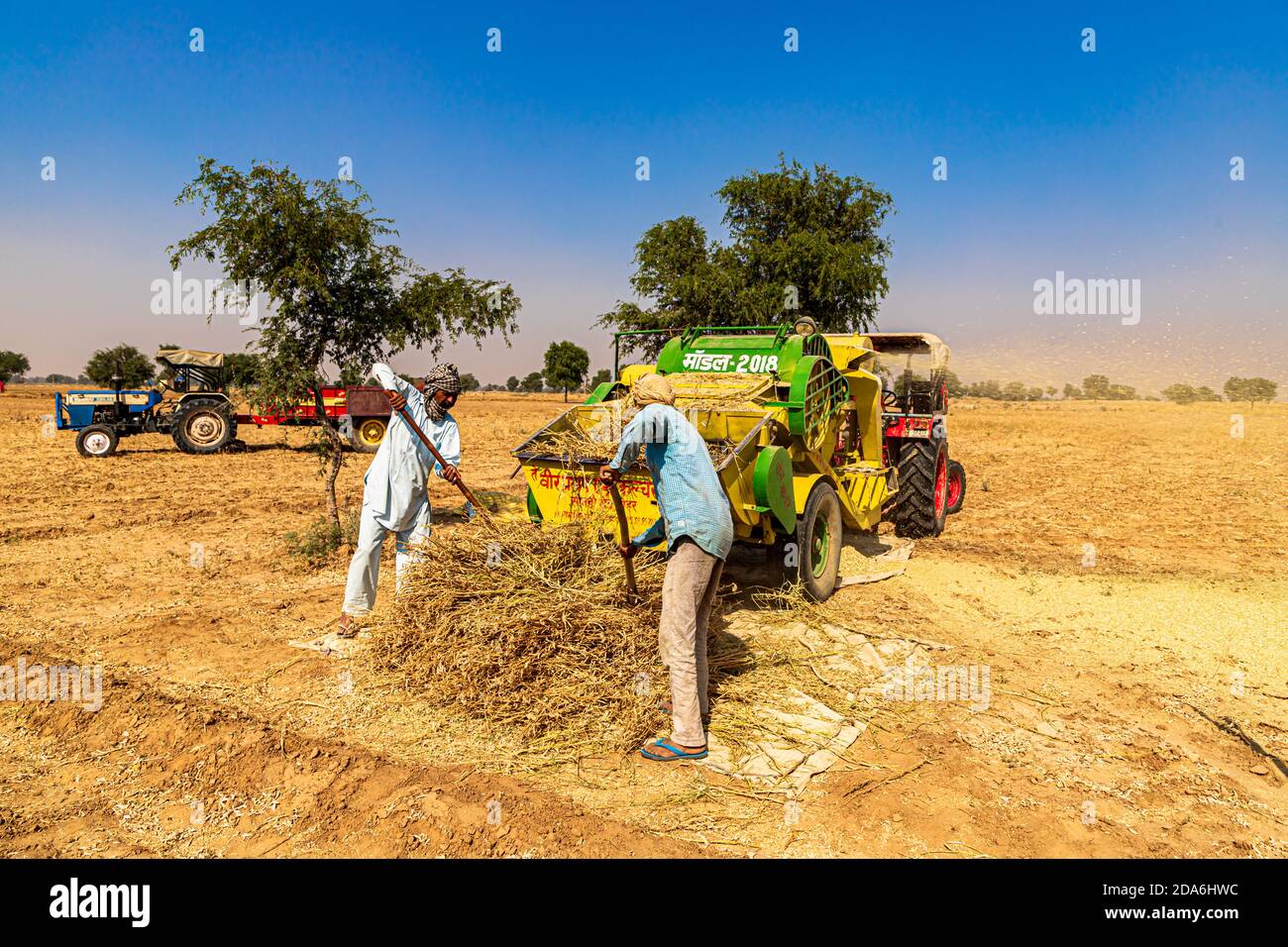 récolte de cultures en inde Banque D'Images