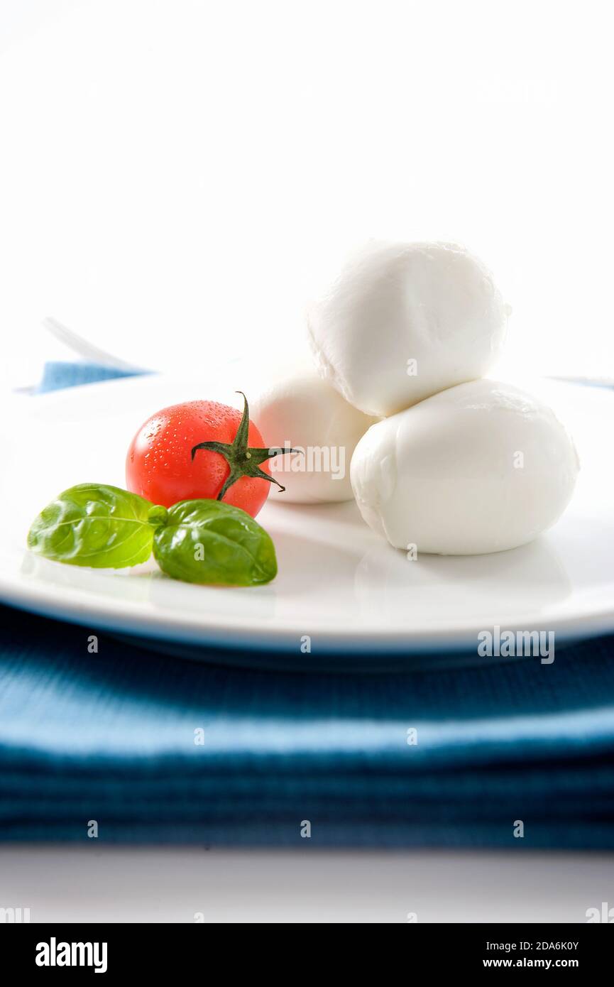 Plat italien élégant et délicieux avec mozzarella de buffle DOP De Campanie et de tomate avec basilic sur fond blanc et placé sur une serviette bleue Banque D'Images