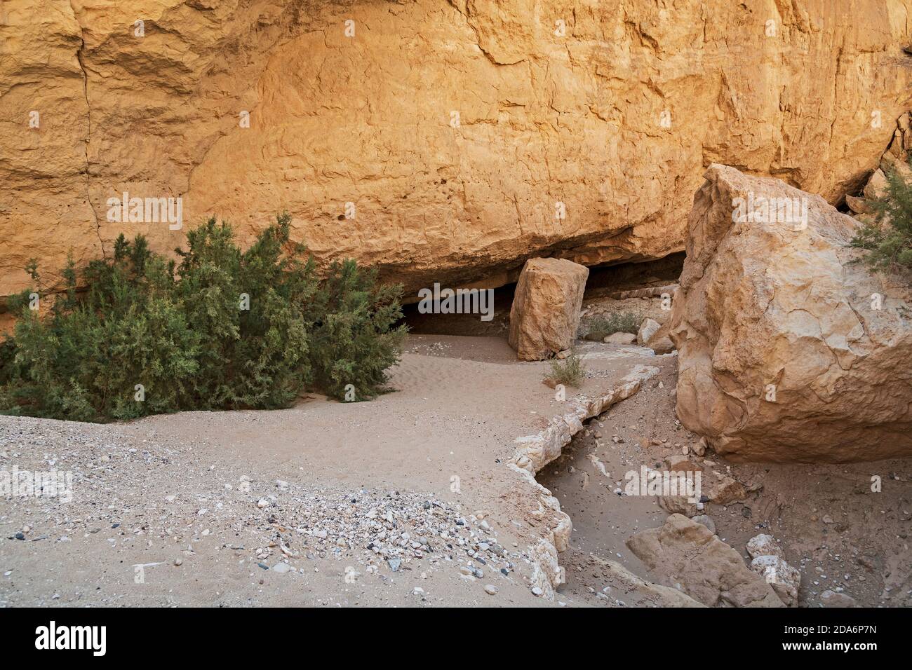 l'entrée de la grotte nekarot à nahal nekarot in le cratère de makhtesh ramon en israël est presque caché randonneurs par buissons et blocs Banque D'Images