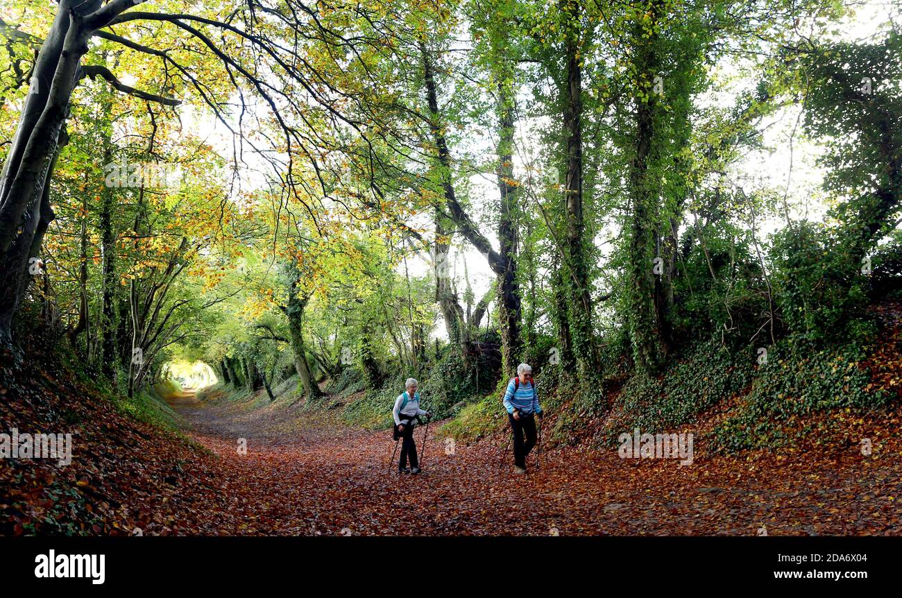 Les dames apprécient une promenade à travers les arbres le long d'une ancienne piste à Halnaker près de Chichester qui suit la route de Stane Street, la route de Londres à Chichester Roman. Banque D'Images