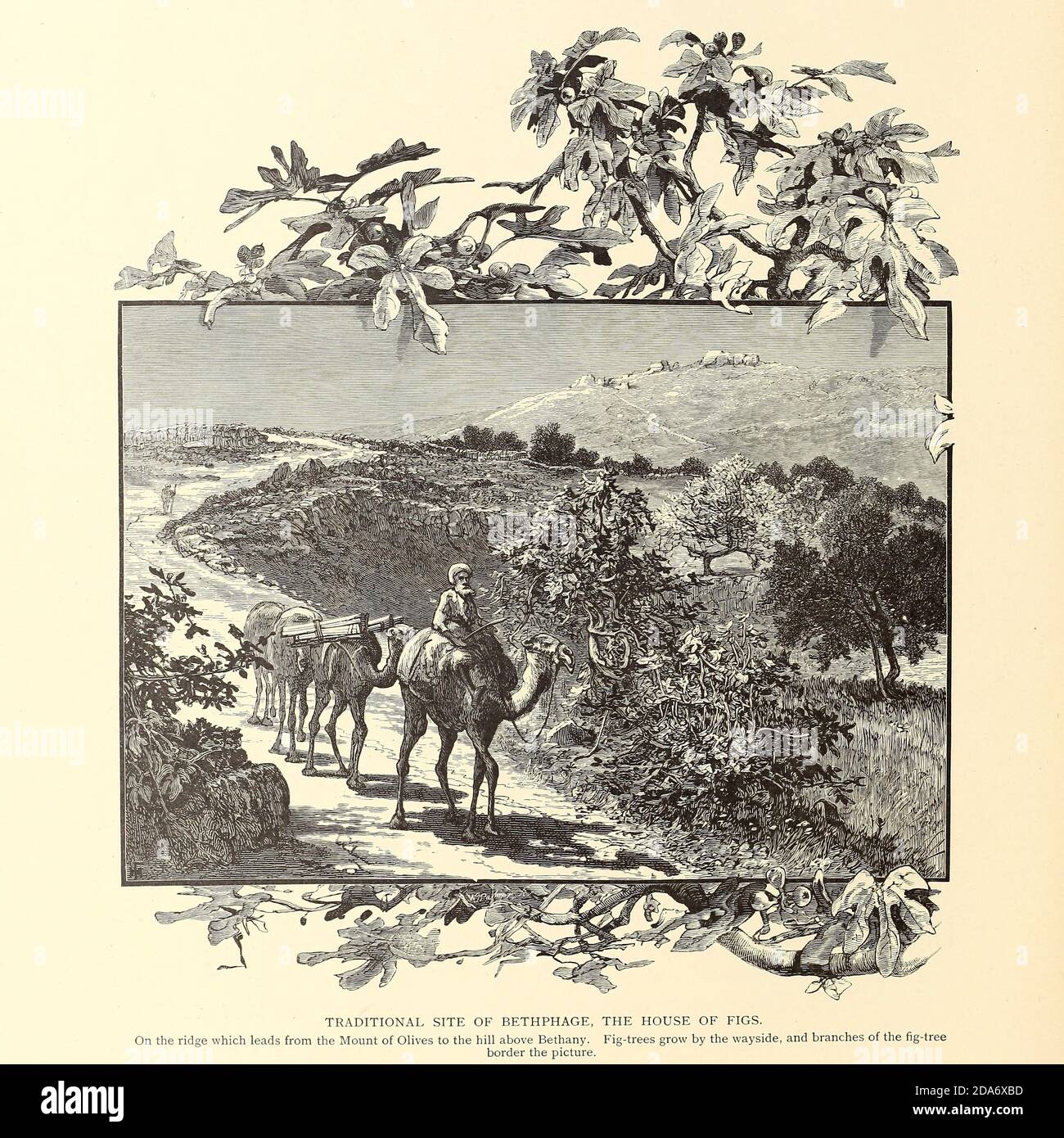 Site traditionnel de Bethphage la Maison des Figs du livre pittoresque Palestine, Sinaï, et Égypte par le colonel Wilson, Charles William, Sir, 1836-1905. Publié à New York par D. Appleton and Company en 1881 avec des gravures en acier et en bois tirées de dessins originaux de Harry Fenn et J. D. Woodward Volume 1 Banque D'Images