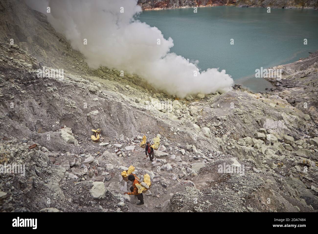 East Java, Indonésie, février 2016. Mineurs transportant le soufre recueilli dans le cratère du volcan actif Kawah Ijen. Banque D'Images