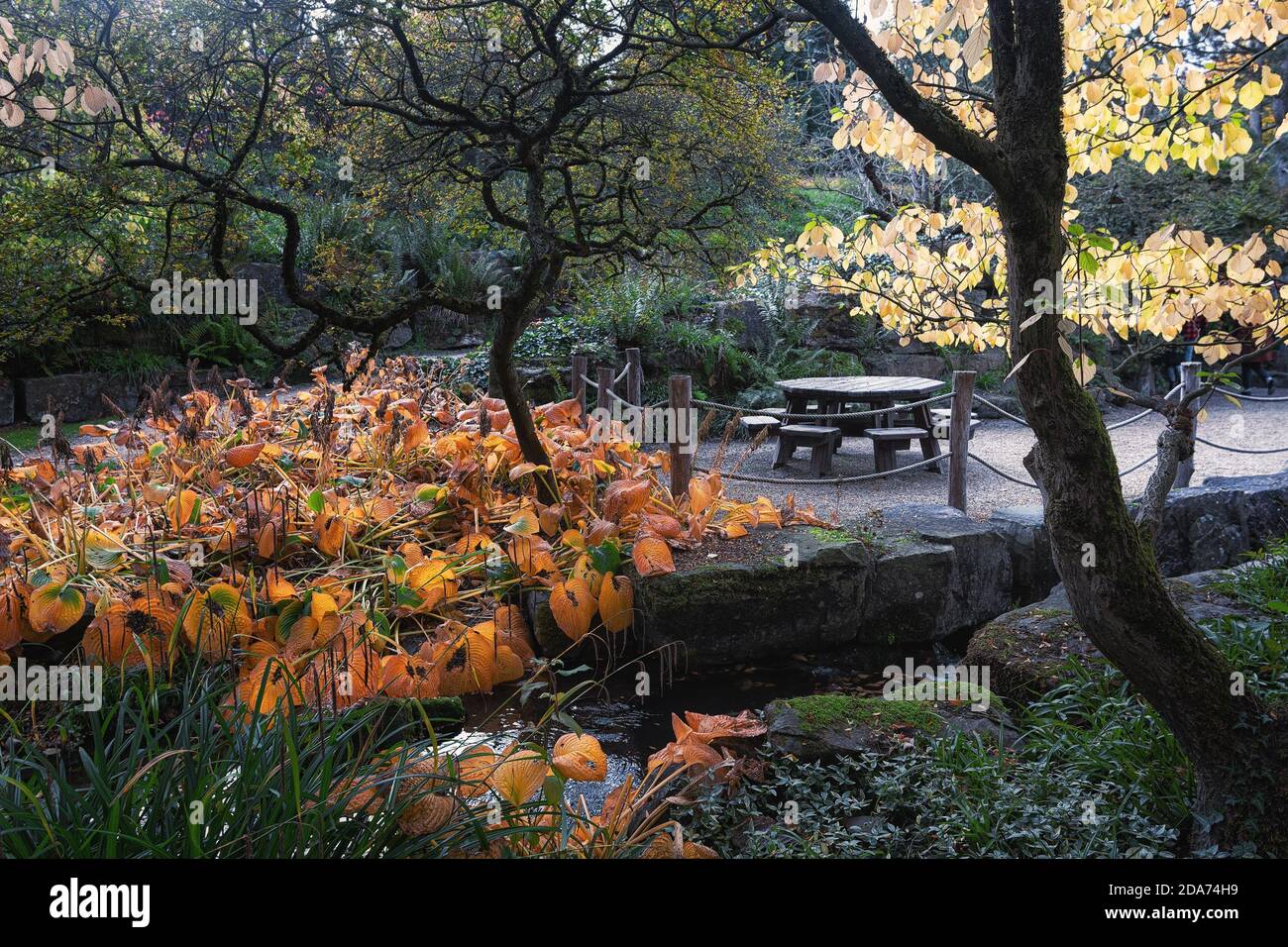 Garez-vous dans de magnifiques couleurs d'automne quelque part aux pays-Bas Banque D'Images