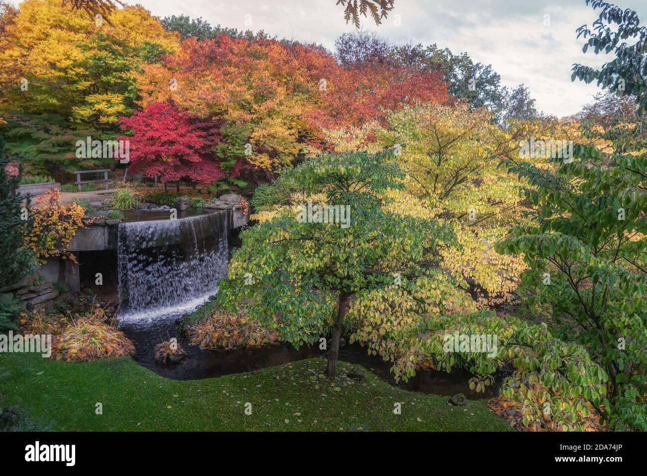 Garez-vous dans de magnifiques couleurs d'automne quelque part aux pays-Bas Banque D'Images