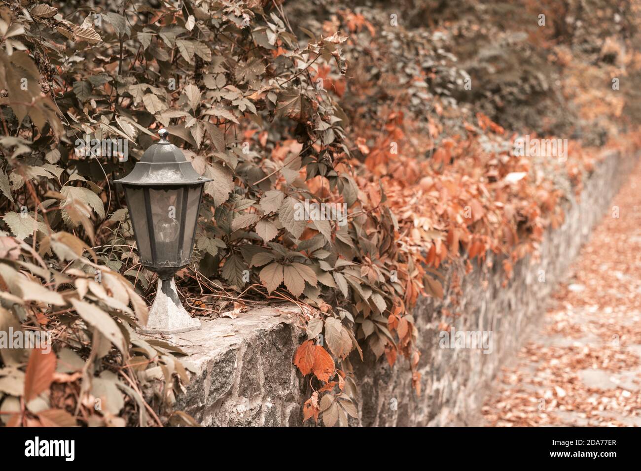 Lanterne de rue sur un trottoir en pierre surcultivé avec de la lierre. Automne chaud dans la ville. Image teintée. Arrière-plan abstrait Banque D'Images