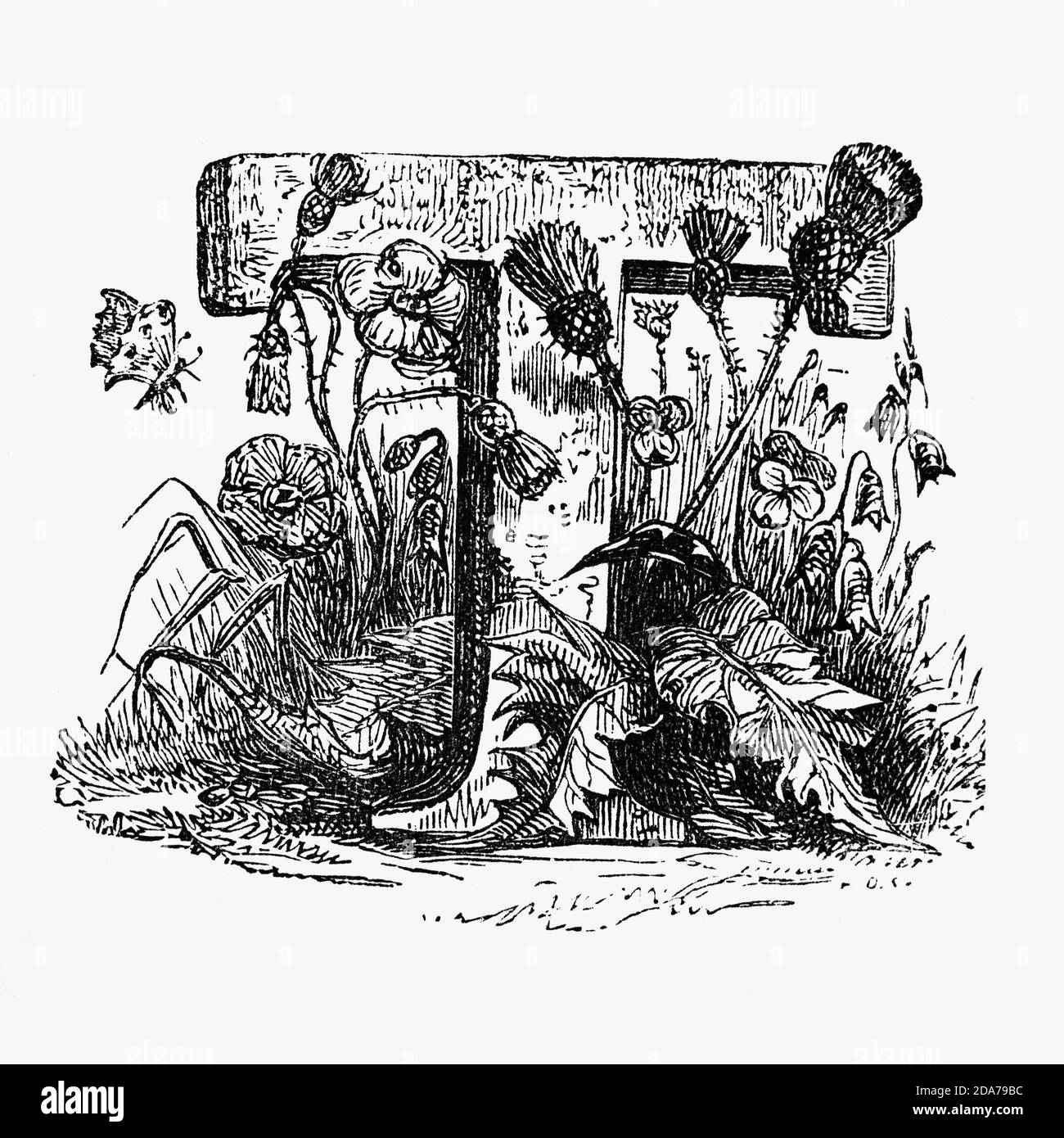 Une lettre écossaise décorée de façon ornée utilisée comme une première ou une tête de goutte au début d'un mot, d'un chapitre ou d'un paragraphe plus grand que le reste du texte. Le mot est dérivé de l'initialis latin, ce qui signifie se tenir au début. Une initiale est souvent de plusieurs lignes en hauteur et dans des livres ou manuscrits plus anciens, parfois décorés de façon ornée. Banque D'Images