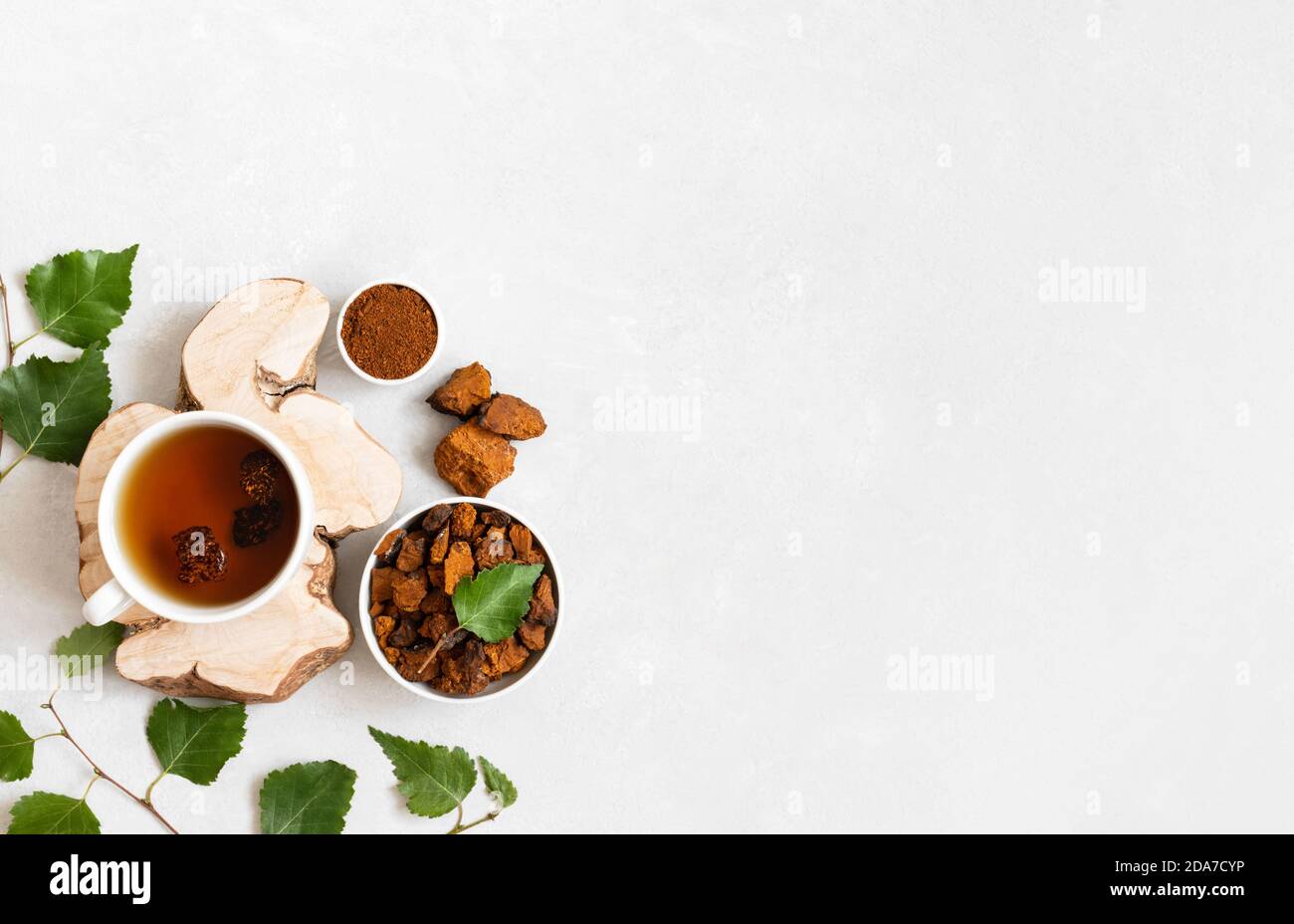 Thé chaga sur fond blanc. Boisson russe traditionnelle avec morceaux de champignons de bouleau. Copier l'espace, vue de dessus. Banque D'Images