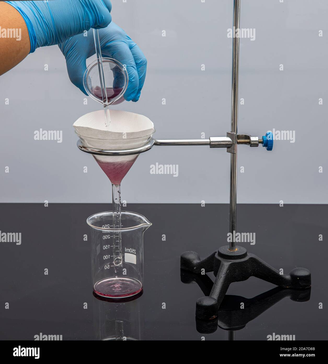 Papier filtre en laboratoire. Les scientifiques sont la filtration chimique par filtrage à travers le papier filtre dans un entonnoir en verre, gros plan. Sous-filtre pharmacien Banque D'Images