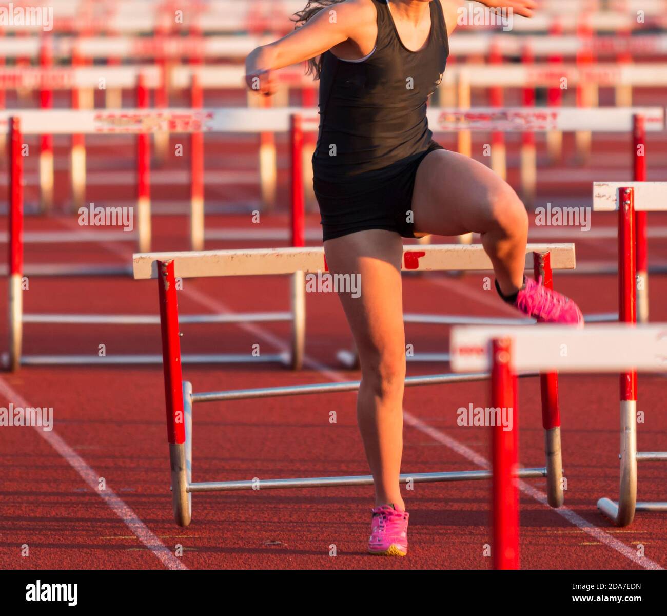Une fille d'école secondaire qui court dans une course haies frappe et voyage au-dessus d'un des haies. Banque D'Images