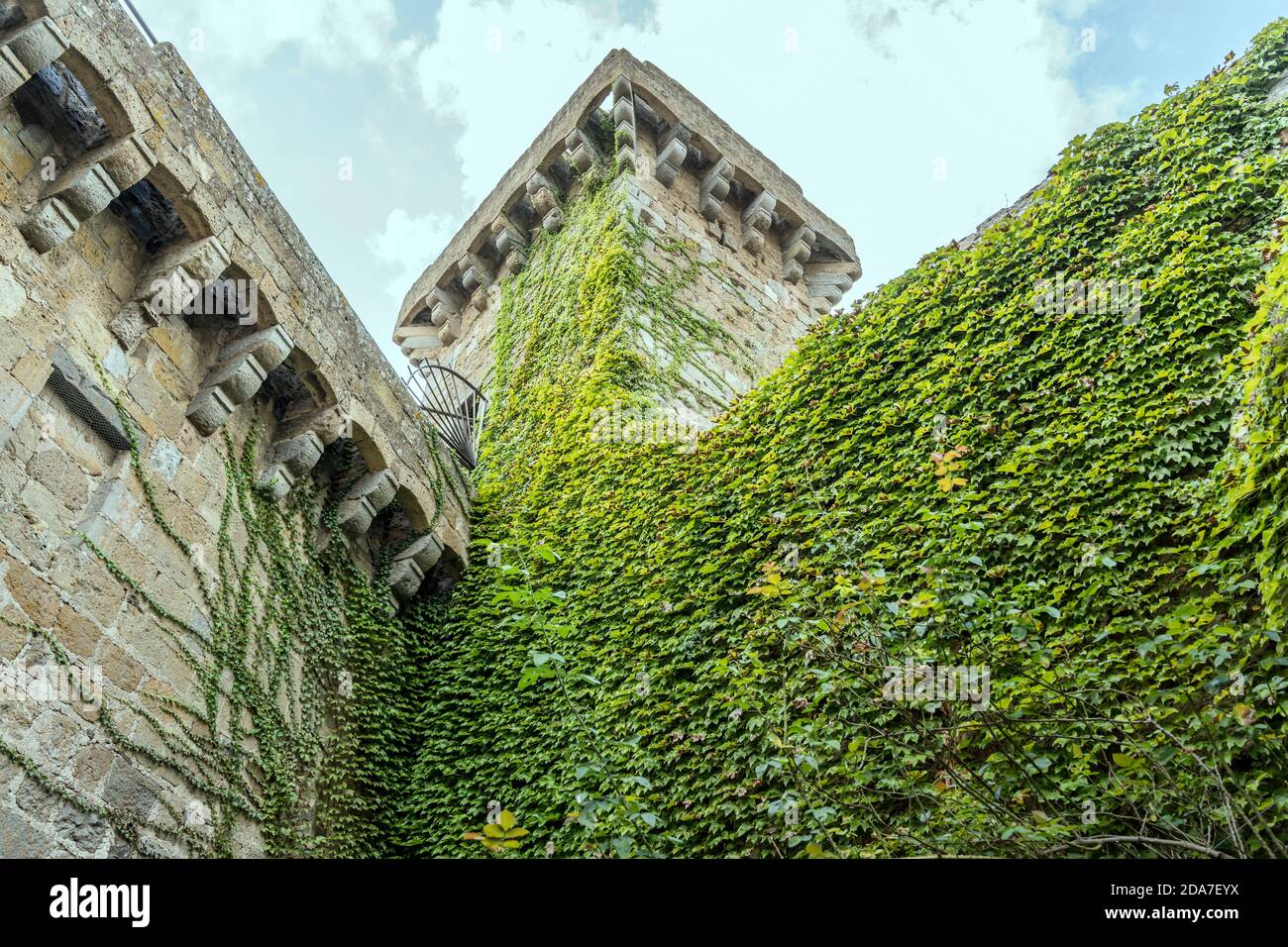 Un super-réducteur vert luxuriant sur le donjon de castlestone de Monaldeschi, tourné en lumière vive à Bolsena, Viterbo, Latium, Italie Banque D'Images