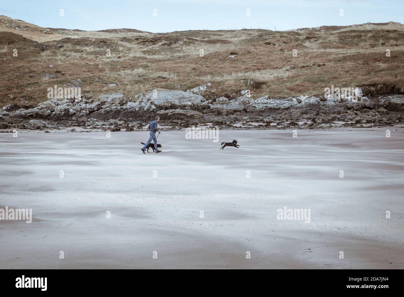 Homme marchant ses deux chiens sur une plage vide de Clashnessie, en Écosse. Banque D'Images