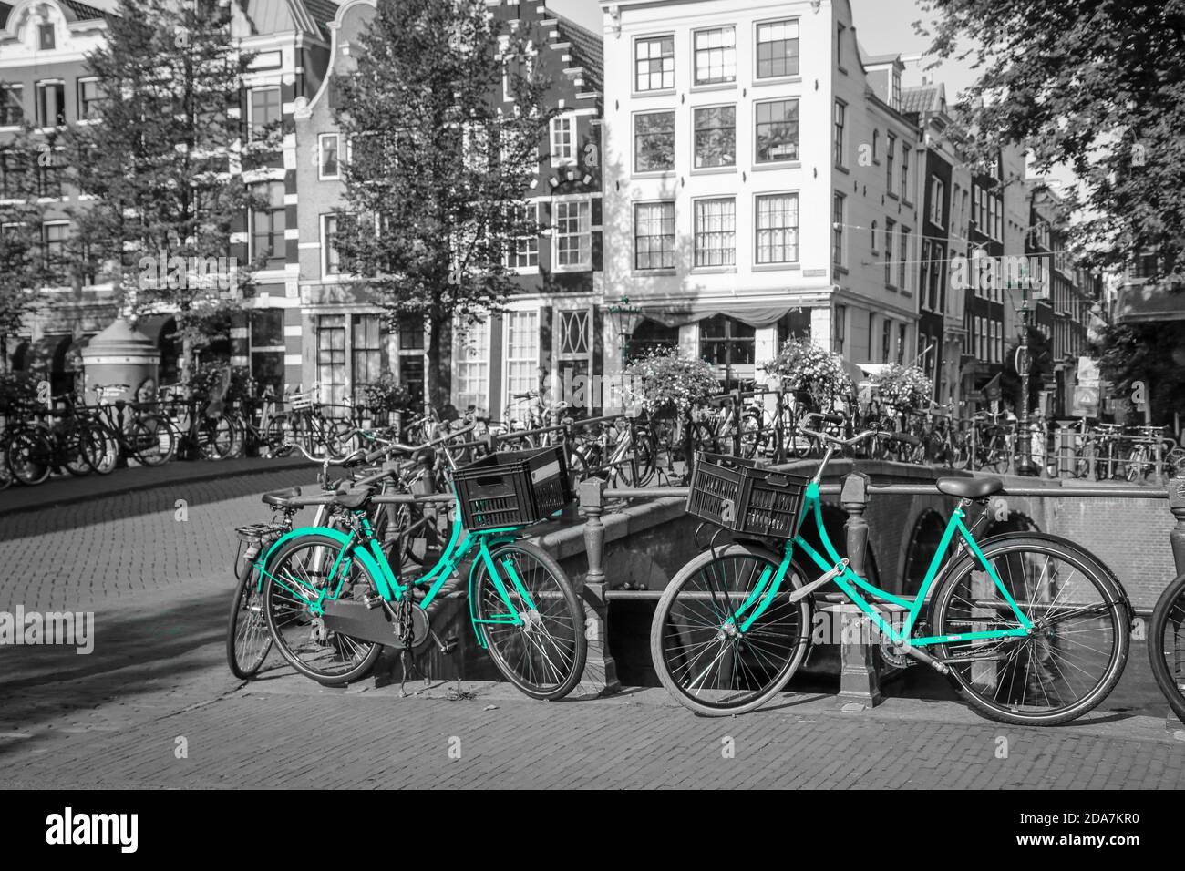 Deux vélos frais azur dans les rues d'Amsterdam. Symbole de transport urbain propre et écologique. Isolé sur fond noir et blanc. Banque D'Images
