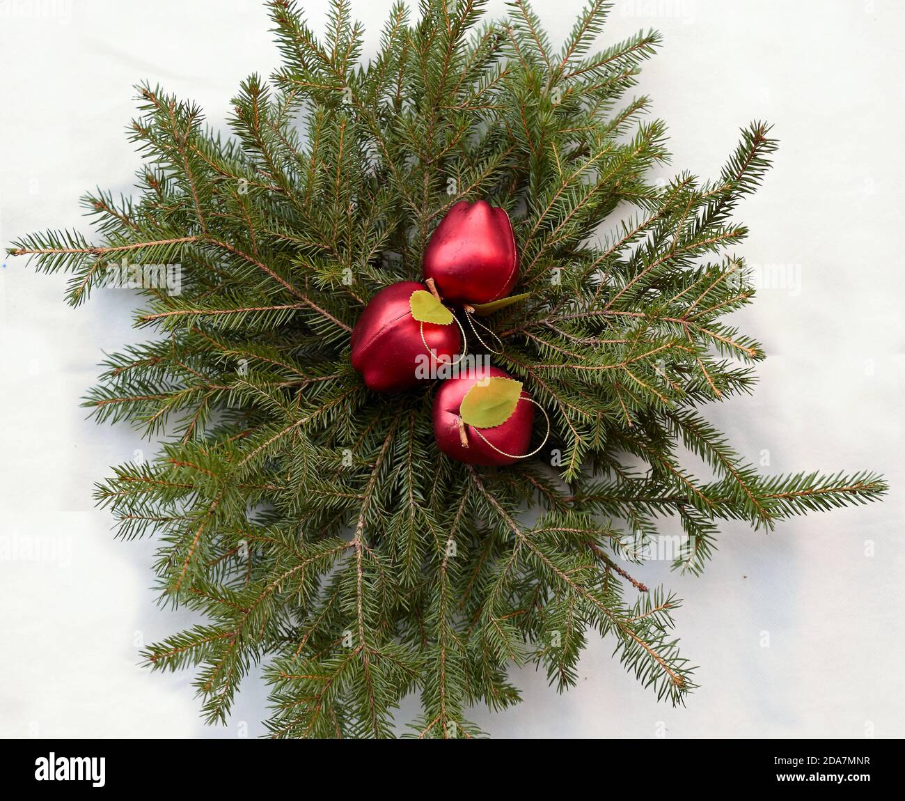 Boules de noël rouges sur branches d'épinette Banque D'Images