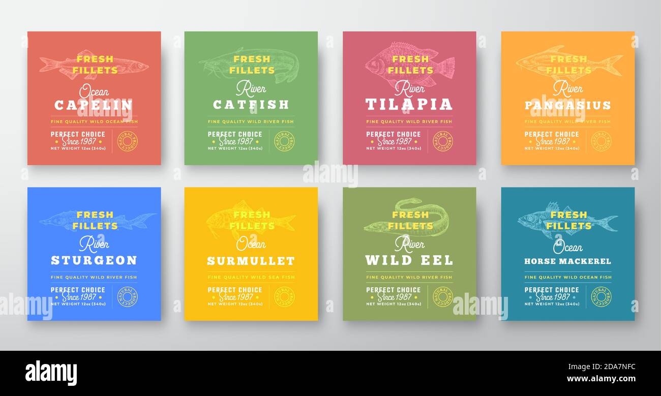 Collection d'étiquettes de qualité supérieure pour les congés frais