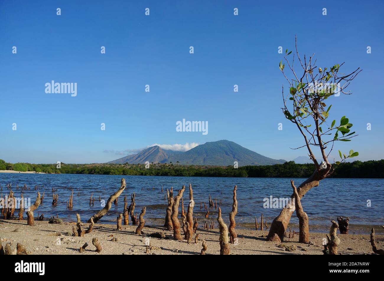 Plages de sable blanc propre, belles plages de mers ouvertes et mangroves Banque D'Images