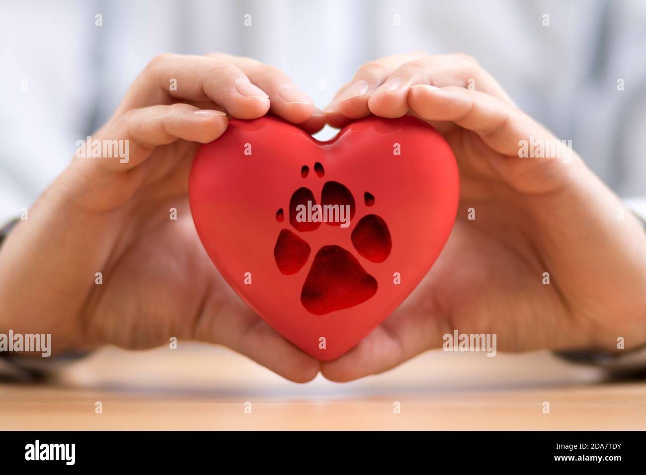 Coeur rouge avec imprimé pattes de chien dans les mains Banque D'Images