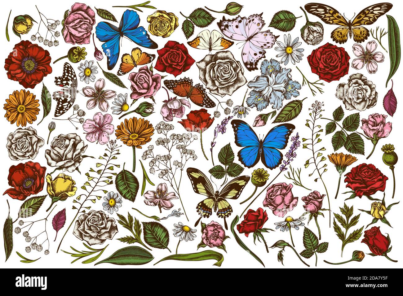 Ensemble vectoriel de sac à main de berger coloré, bruyère, iris japonica, sakura, gitsophila, camomille, amande, fleur de pavot, calendula, menelaus Illustration de Vecteur