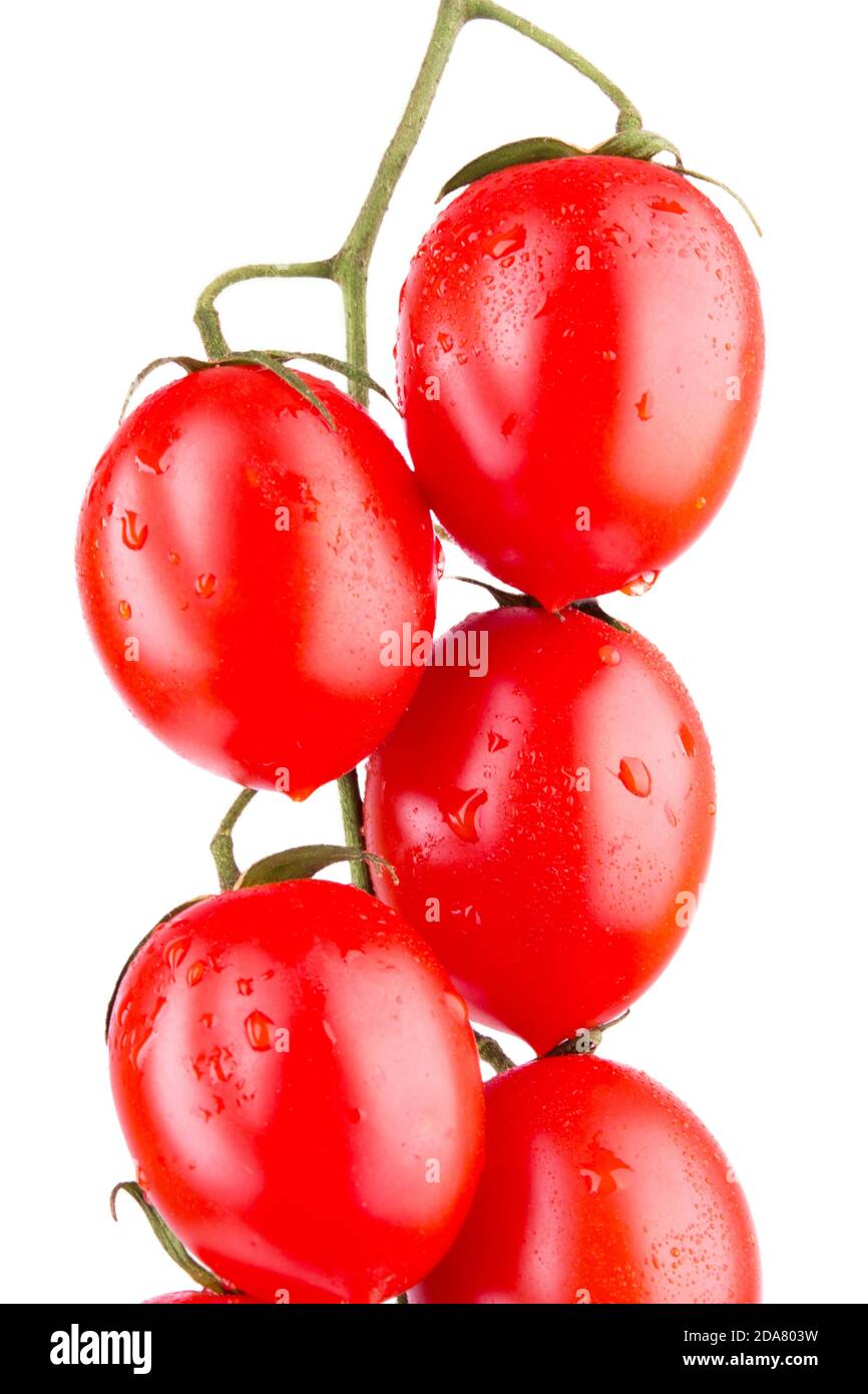 tomates cerises isolées Banque D'Images