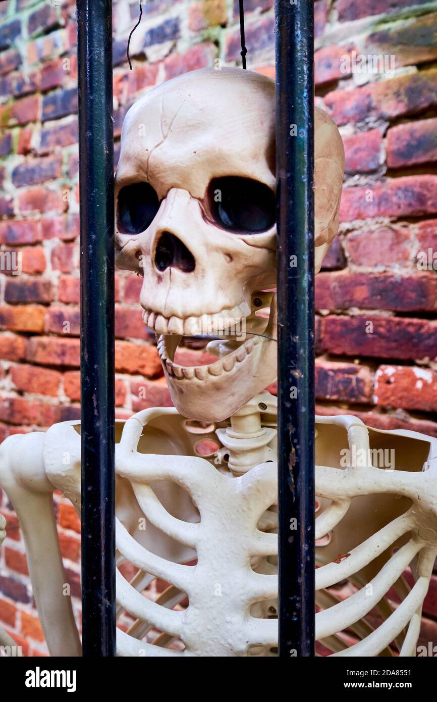 Un squelette effrayant et amusant décore une porte en fer forgé pour Halloween dans la vieille ville, Alexandria, Virginie. Banque D'Images