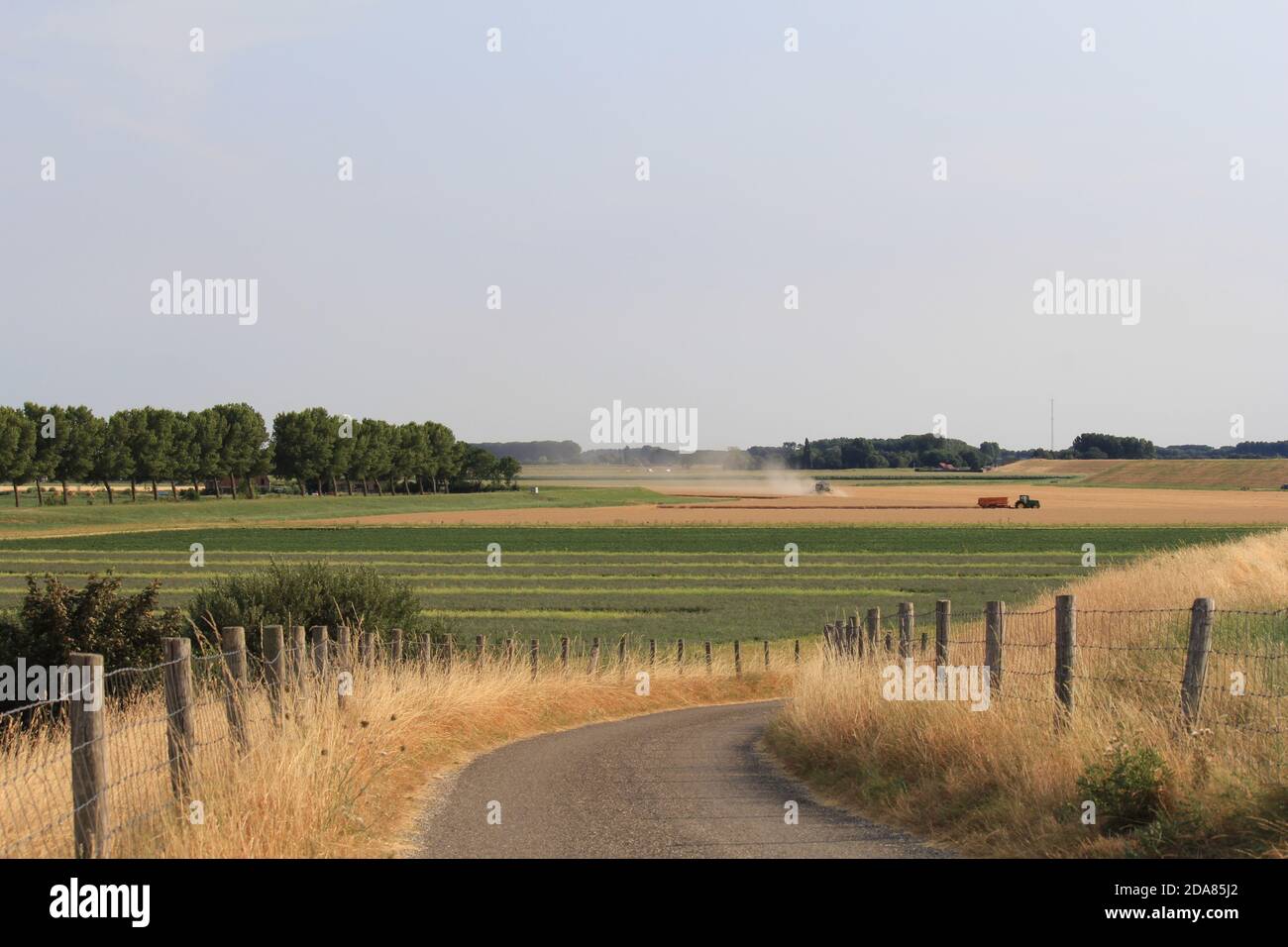 vue aérienne sur la campagne hollandaise depuis un passage de digue sur une prairie verte et un champ de blé avec des moissonneuses en été Banque D'Images