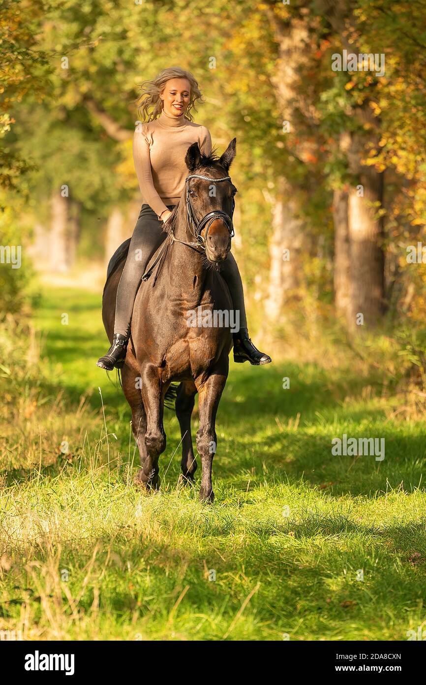 Une Fille Avec Un Cheval Dans La Nature, Une Promenade D'automne