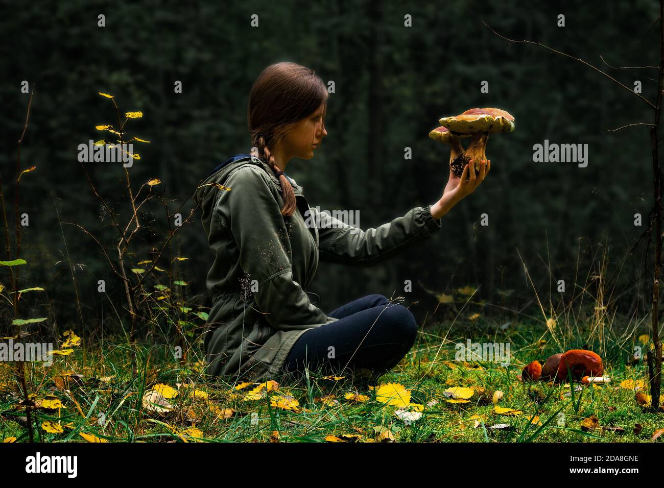 Une femme assise en forêt, tenant et vérifiant les champignons sauvages à la main. Concept de risque d'empoisonnement aux champignons. Chasse aux champignons, cueillette et cueillette en toute sécurité. Banque D'Images