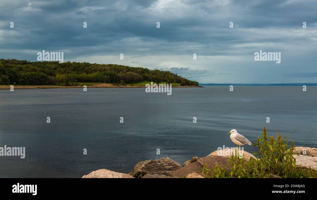 La Malbaie, Canada - août 19 2020 : vue sur le coucher du soleil sur la rivière Saint-Laurence à la Malbaie Banque D'Images