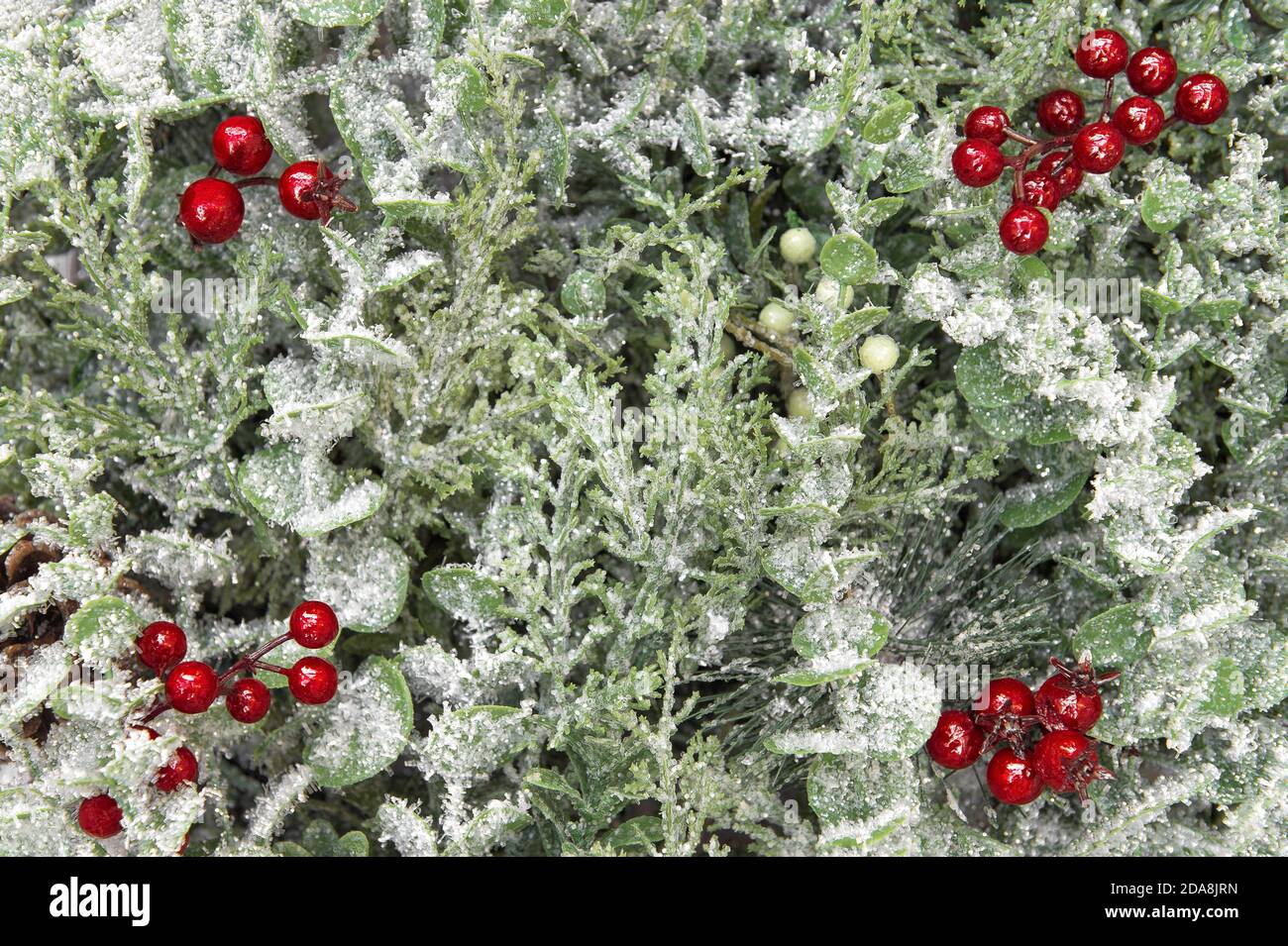 Arrière-plan de Noël avec branches de pin et décoration de baies rouges Banque D'Images
