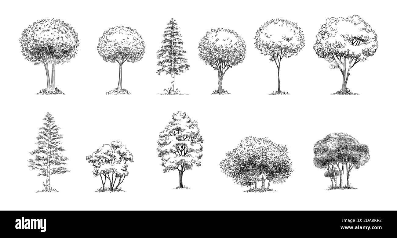 Esquisse d'arbre : ensemble d'arbres d'architecte dessinés à la main. Esquisser un paysage architectural Illustration de Vecteur