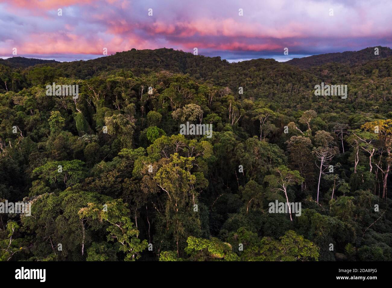 La forêt tropicale de l'Atlantique du sud de l'État de São Paulo ci-dessus Banque D'Images