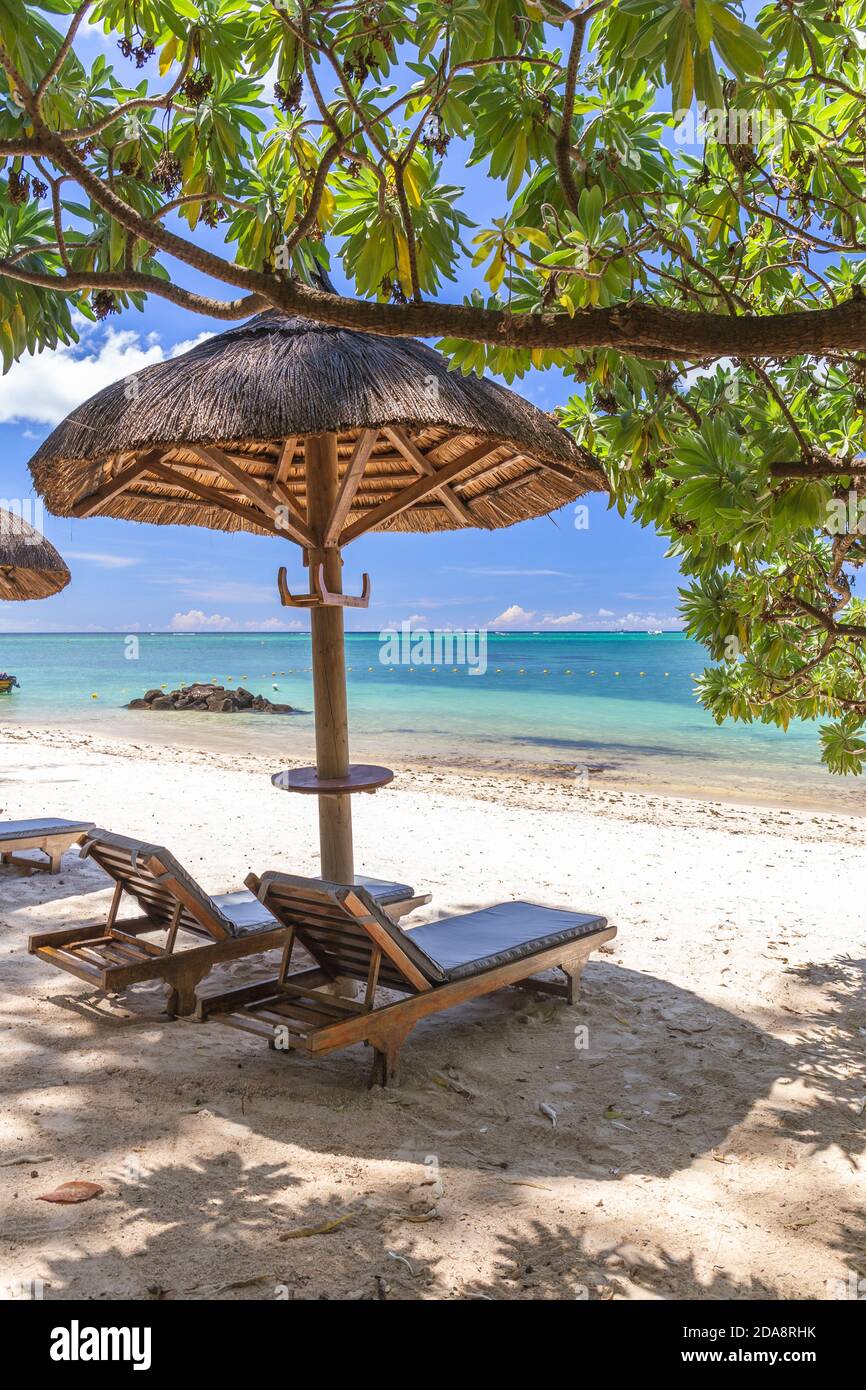Belle plage de l'Ile Maurice,avec vue mer torquise ,palmiers et parapluie. Banque D'Images