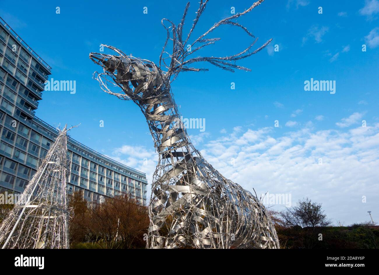 Statue de Noël en forme de cerf de pluie près du centre commercial Liverpool One Banque D'Images