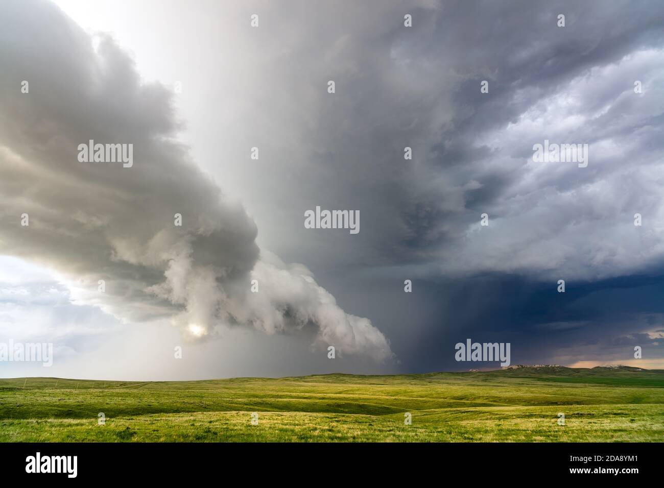 Paysage pittoresque du Montana avec des nuages orageux sur des collines ondoyantes et des plaines de prairie près d'Ekalaka Banque D'Images
