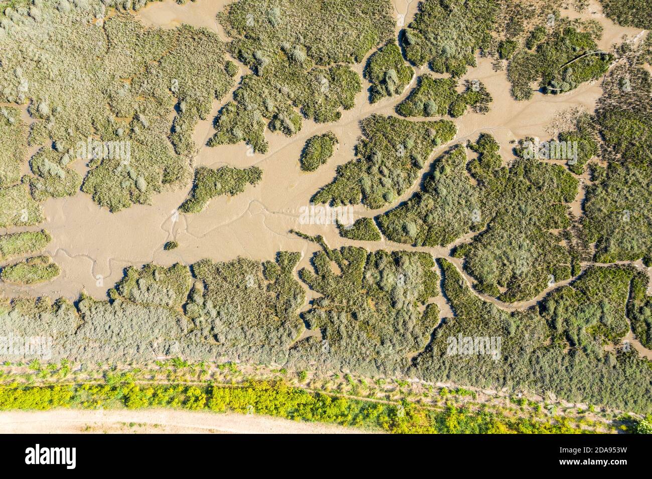 Réserve naturelle nationale de Leigh on Sea, vue aérienne des marais Dans l'Essex Banque D'Images
