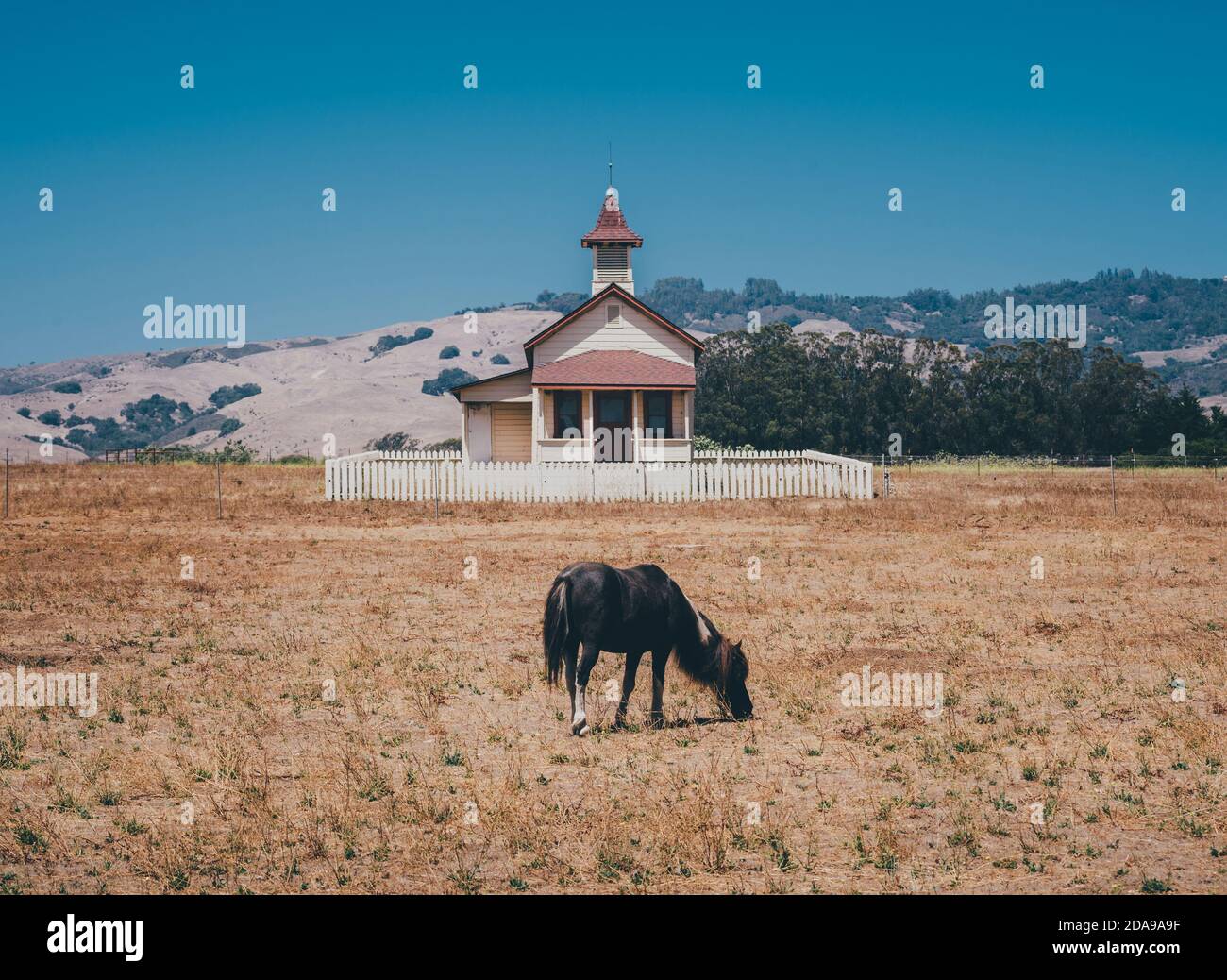 Pastoral du Pacifique Banque D'Images