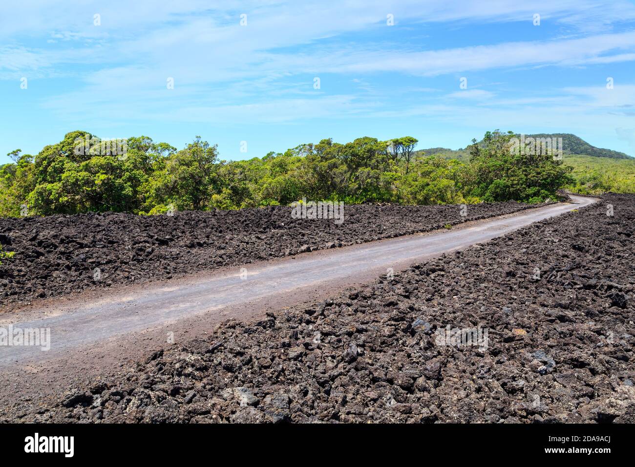 Une route qui traverse des champs de roche de lave noire sur l'île Rangitoto, un volcan dans le golfe d'Hauraki, en Nouvelle-Zélande Banque D'Images