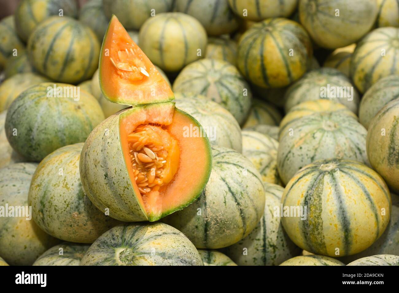 Melon de musc à moitié coupé ou Cantaloup doux sur une pile de melons entiers à vendre sur une rue du marché agricole du Rajasthan, dans le nord de l'Inde. Banque D'Images