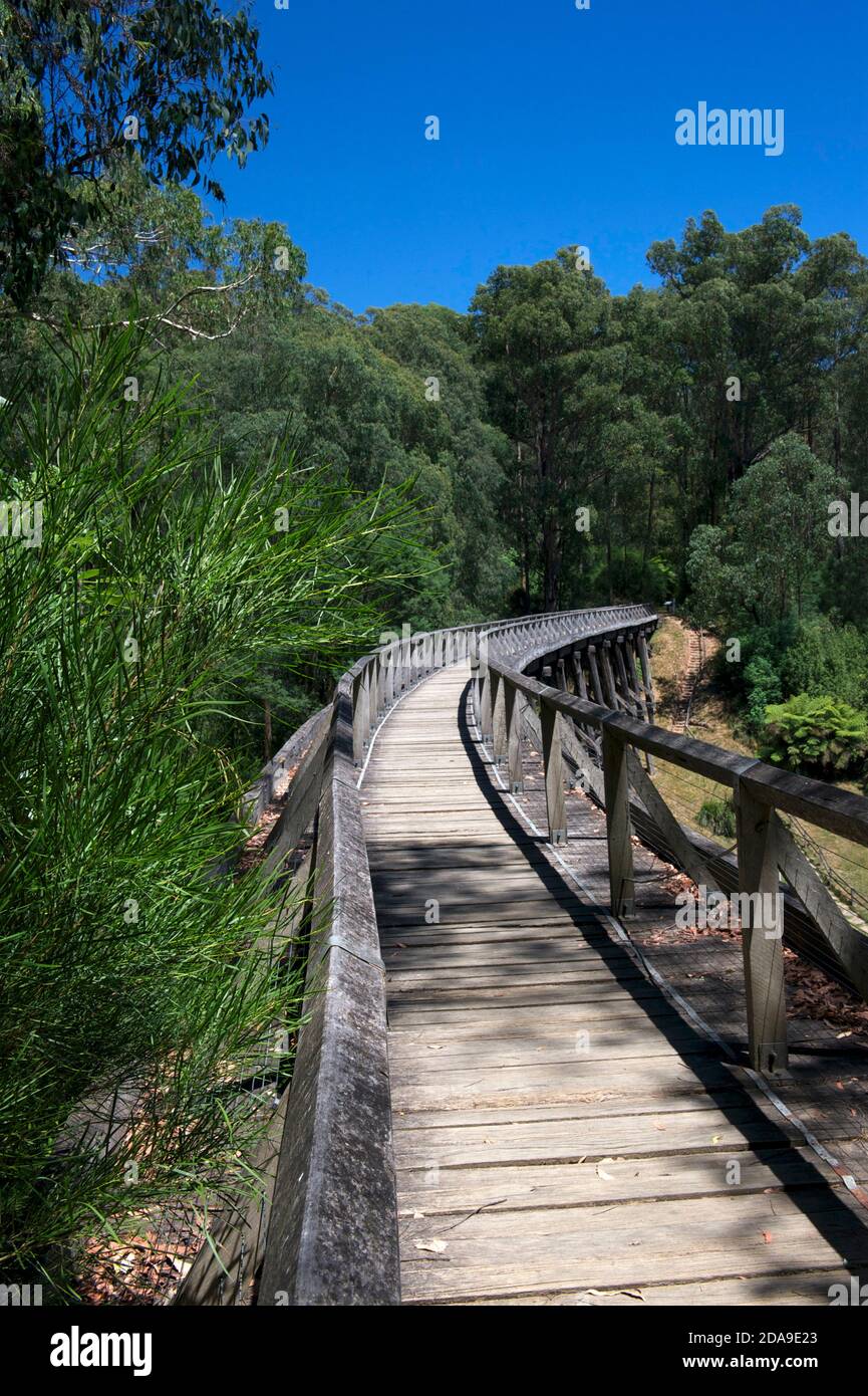 Cet ancien pont de trestle transporta le chemin de fer entre Noojee et Warragul dans le Gippsland, Victoria, Australie. Il a été construit pour l'industrie du bois. Banque D'Images