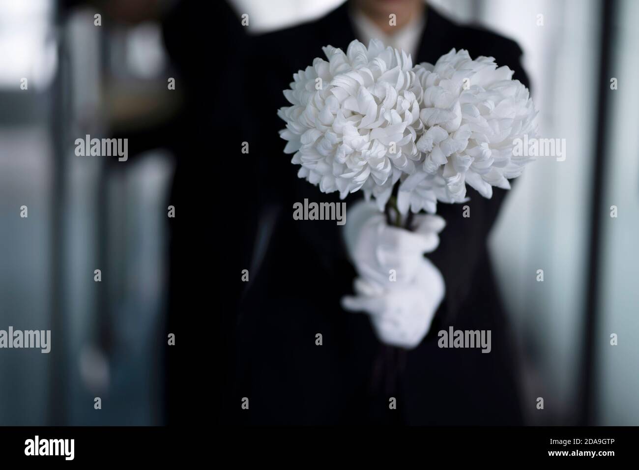Deuil tenant des fleurs aux funérailles Banque D'Images