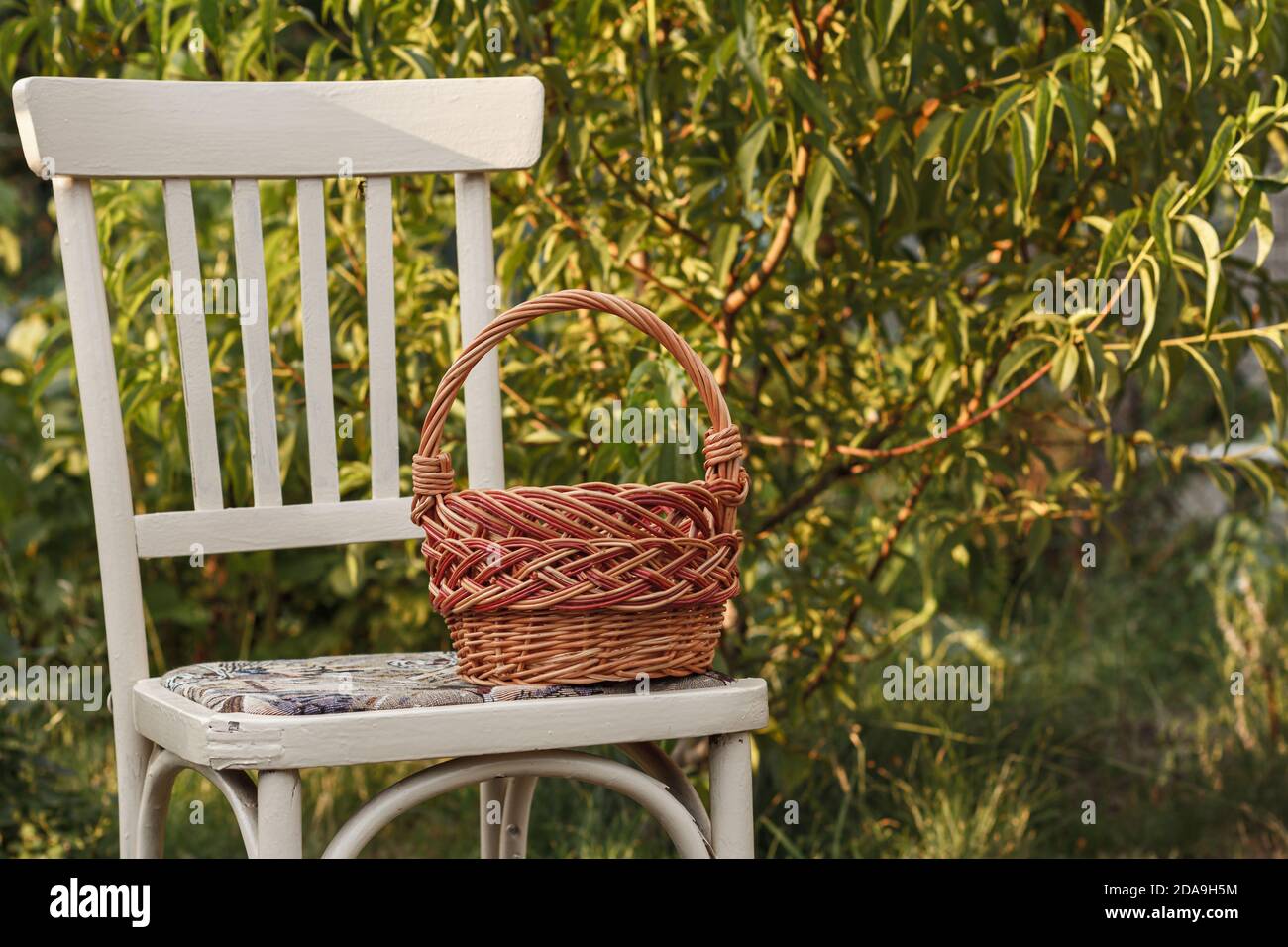 Panier en osier sur l'ancienne chaise dans le fond naturel. Outils de jardin. Banque D'Images