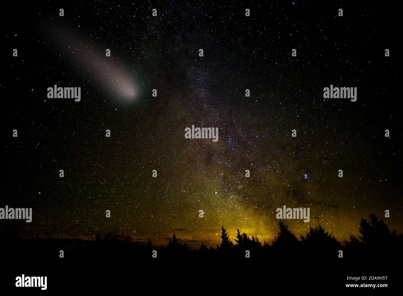 Comet avec de grandes chutes de poussière et de gaz. Les étoiles de la voie lactée et le paysage nocturne de la forêt. Éléments de cette image fournis par la NASA. Banque D'Images