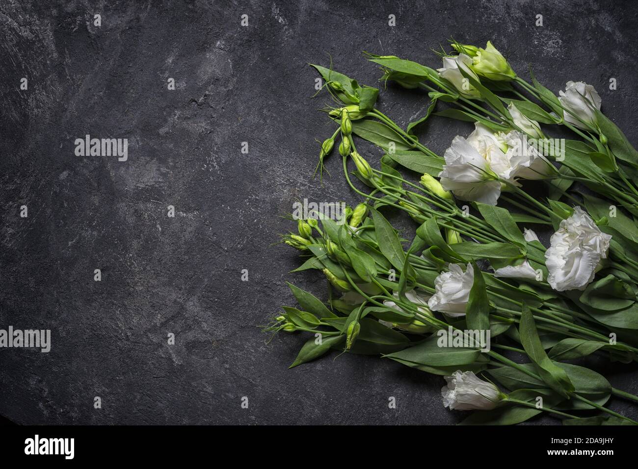 Bouquet de fleur sur fond noir Banque de photographies et d’images à haute résolution Alamy