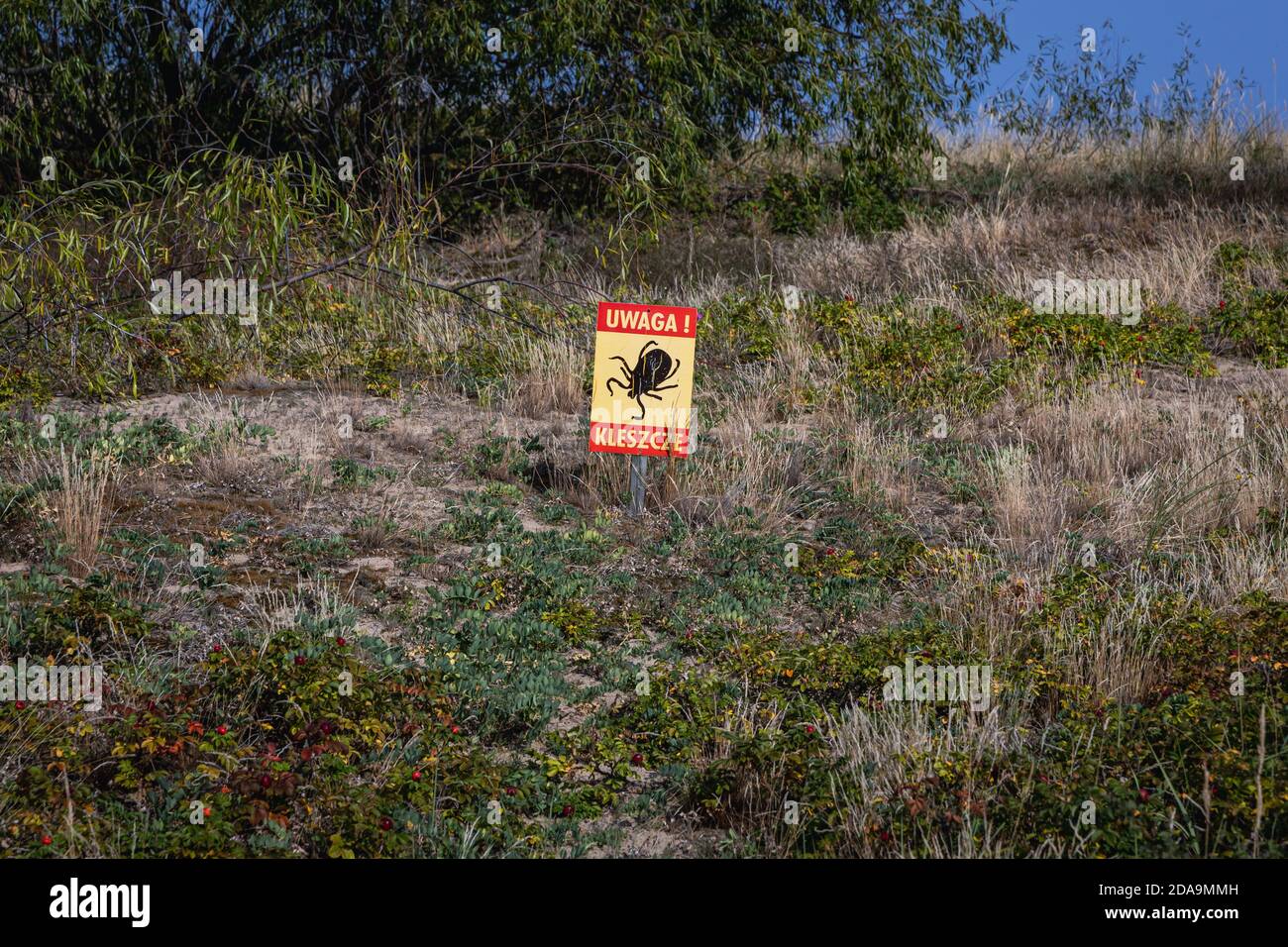 Signe d'avertissement pour les tiques de la réserve d'oiseaux Mewia Lacha sur l'île de Sobieszewo, au-dessus de la baie de Gdansk, la mer Baltique et Smitała Wisla, branche de la rivière Vistule, Pologne Banque D'Images